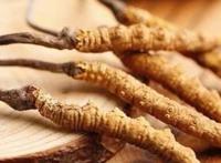 让你生龙活虎的补肾壮阳中药,补肾中药材