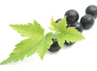 男性性能力低下怎么办?提高男性性能力的8个好方法