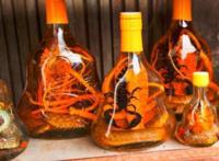 中医壮阳药酒有那些？