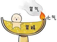 补肾居然也要选时间？什么时间补肾最好？