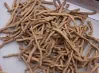 这几种食物让补肾效果翻倍