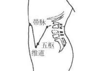 肾阳虚怎么调理？脾胃虚寒怎么调理？推荐4种方法