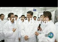 YY鱼身份八卦：歪歪鱼身份大揭秘有图有真相
