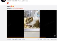 女流YJJ官宣恋爱，66姐爆料恋爱细节，第一次见送书背课文，太吵还被逐出家门