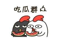 吴梦梦教练指导学游泳哪一集,吴梦梦学游泳打水教学视频全集有几季