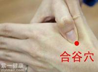 合谷穴位位置图  全面了解合谷穴