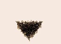 丁丁上面的毛发,有啥生理作用