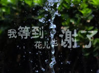伤感催泪的歌曲(催人泪的10首伤感歌曲推荐)