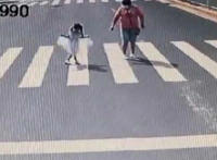 小女孩向礼让司机行公主礼 事件详情经过及画面曝光