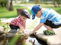 鼠年米字旁最吉利的字汇总 鼠年米字旁最吉利的字汇总