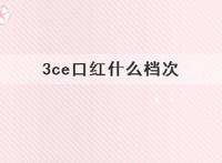 3ce口红什么档次