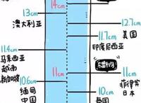 男性标准长度和粗度多少?附世界各国丁丁平均长度