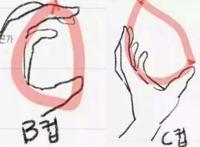 c罩杯大概有多大？附对比图
