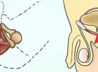 男性性功能锻炼的11个方法，凯格尔运动才是YYDS！