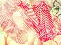 我喜欢上老公前女友的老公该咋办?