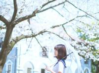 石头剪子布专场：霸道总裁和灰姑娘的爱情真相