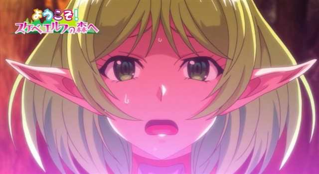 旧番剧精灵の森へようこそ2全彩本子