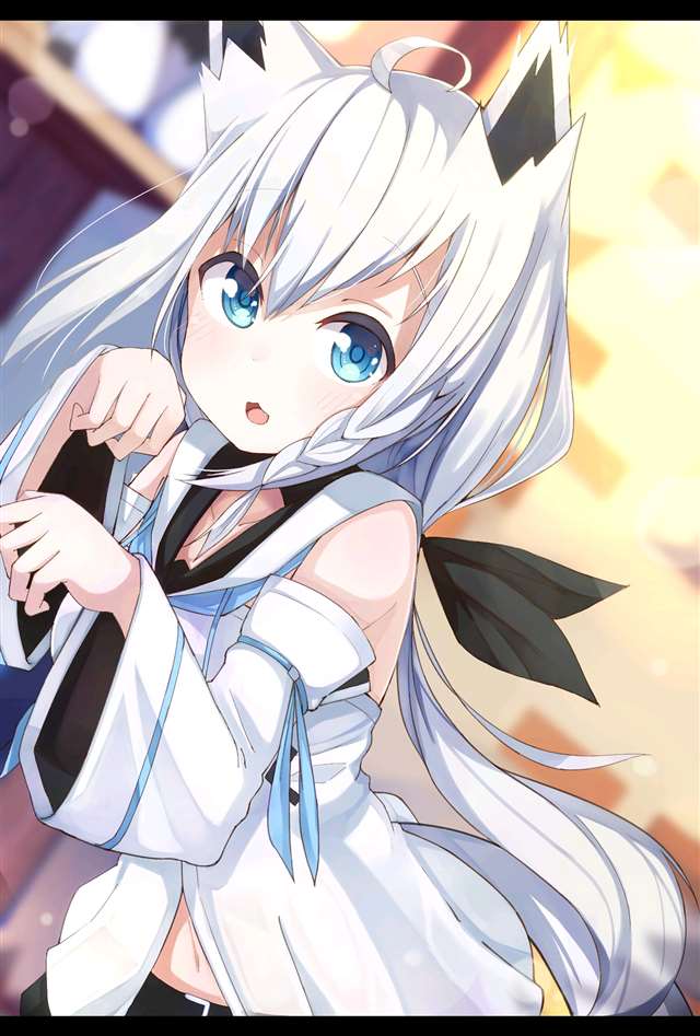 喵屋二次元网页版进入 二次元满满正能量网站