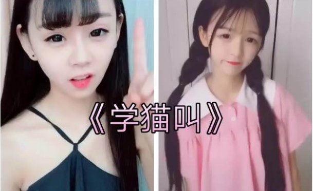 张大凡的男朋友是谁?张大凡为什么被快手封禁?