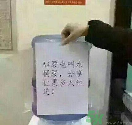 a4腰也叫水桶腰是什么意思?a4腰也叫水桶腰图片?