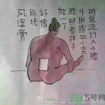 a4腰也叫水桶腰是什么意思？a4腰也叫水桶腰图片？