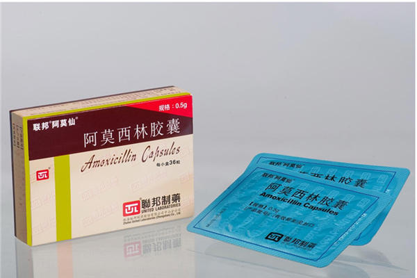 阿莫西林吃了能喝酒吗 阿莫西林吃了多久能见效