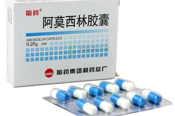 阿莫西林吃了能喝酒吗 阿莫西林吃了多久能见效