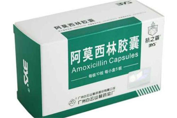 阿莫西林吃了能喝酒吗 阿莫西林吃了多久能见效