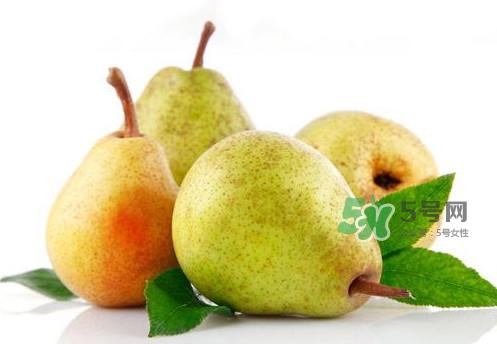 为什么梨子是温度最高的水果？梨子什么人不能吃