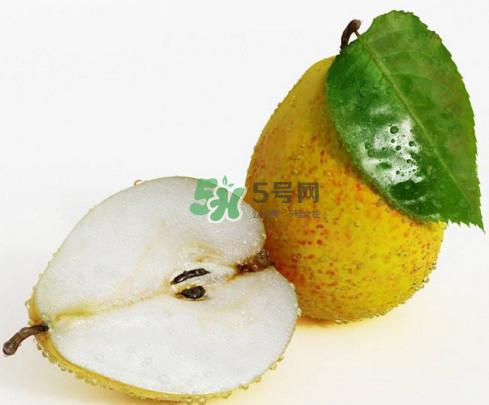 为什么梨子是温度最高的水果?梨子什么人不能吃