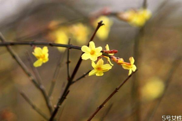 立春如何躲春 立春怎么躲太岁