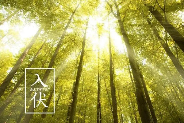 入伏是哪一天开始2022 入伏的意思与由来
