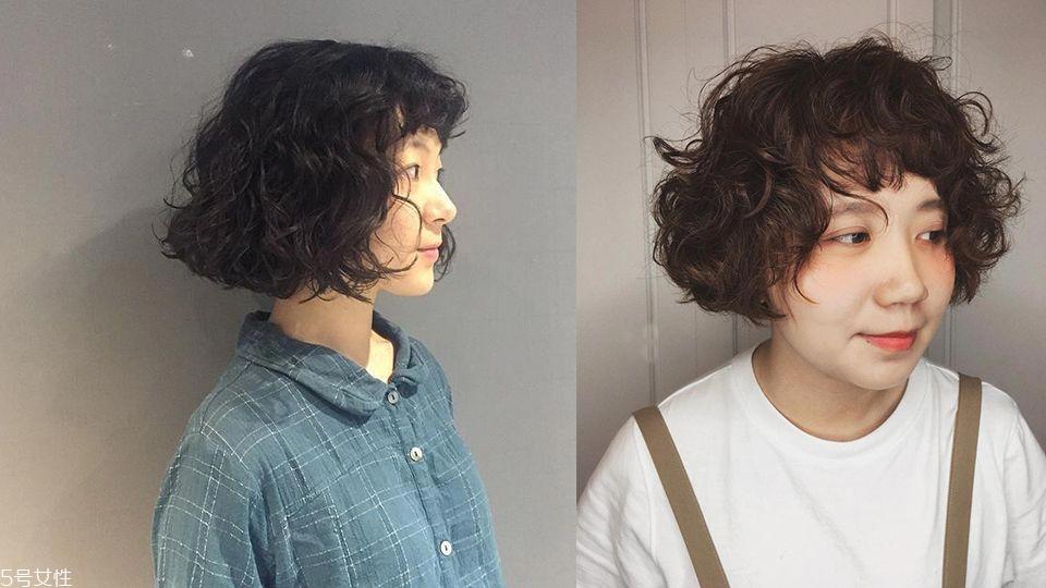 2022羊毛卷发型图片女 2022最洋气的卷发羊毛卷