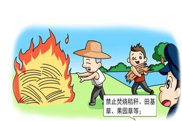 希腊山火失控天空被火光映红 野外用火安全注意事项