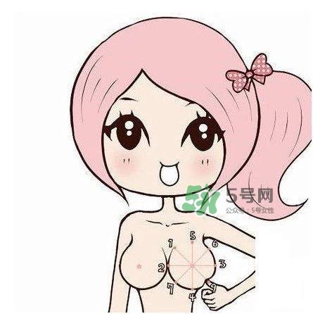 乳贴是什么？乳贴有什么作用？
