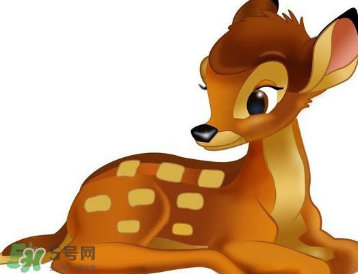 斑比跪是什么意思？斑比跪是什么坐势