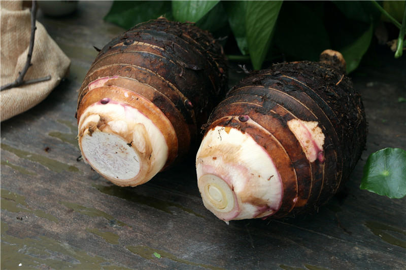 芋子叶的作用与功效 芋子叶子的功效