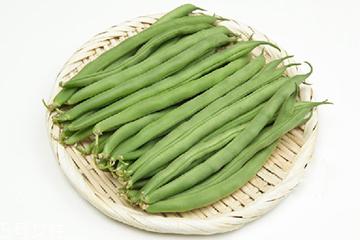 芸豆是什么?芸豆是豆角吗?
