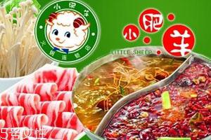 小肥羊火锅底料怎么用 教你正确的用法步骤