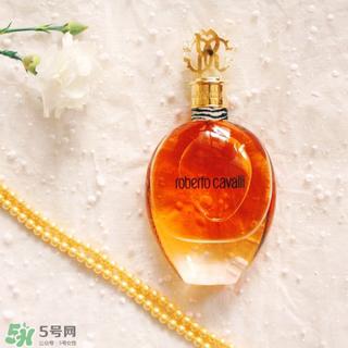 roberto cavalli是什么牌子?罗伯托卡沃利是几线什么档次?
