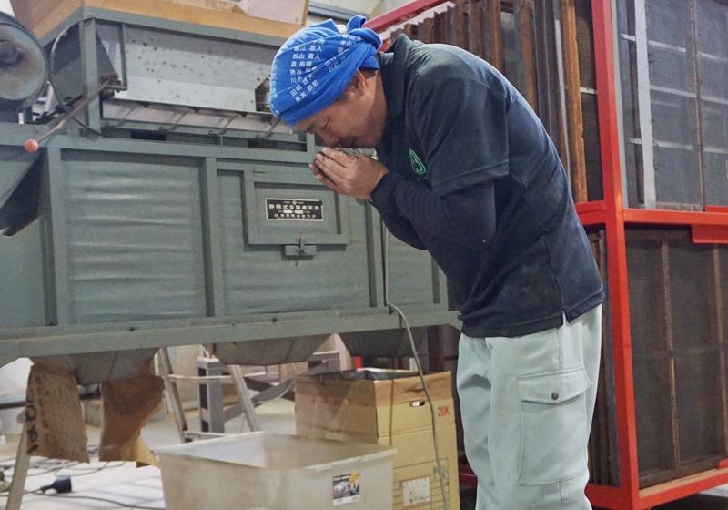 日本茶叶哪个好 日本茶叶茶种介绍