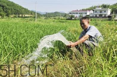 女生说抽水什么意思?女生发消息想抽水什么意思?