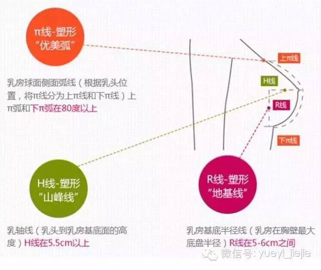 完美胸型标准是什么样的及示意图 从E罩杯柳岩开讲