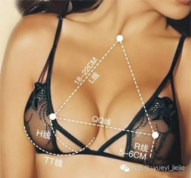 完美胸型标准是什么样的及示意图 从E罩杯柳岩开讲