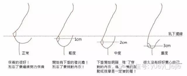 完美胸型标准是什么样的及示意图 从E罩杯柳岩开讲
