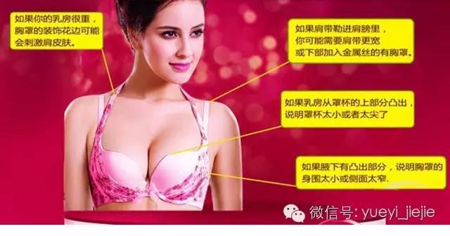 完美胸型标准是什么样的及示意图 从E罩杯柳岩开讲