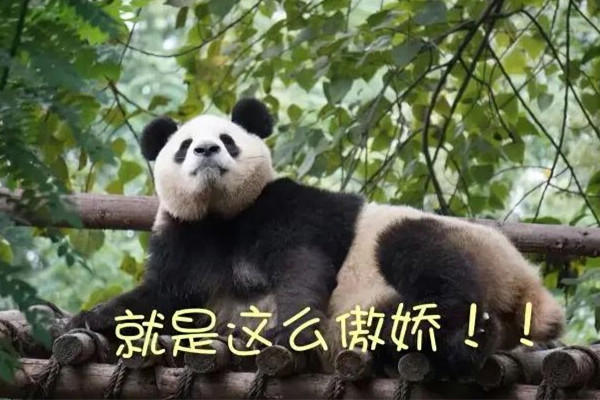 傲娇是怎么形成的 傲娇是什么性格