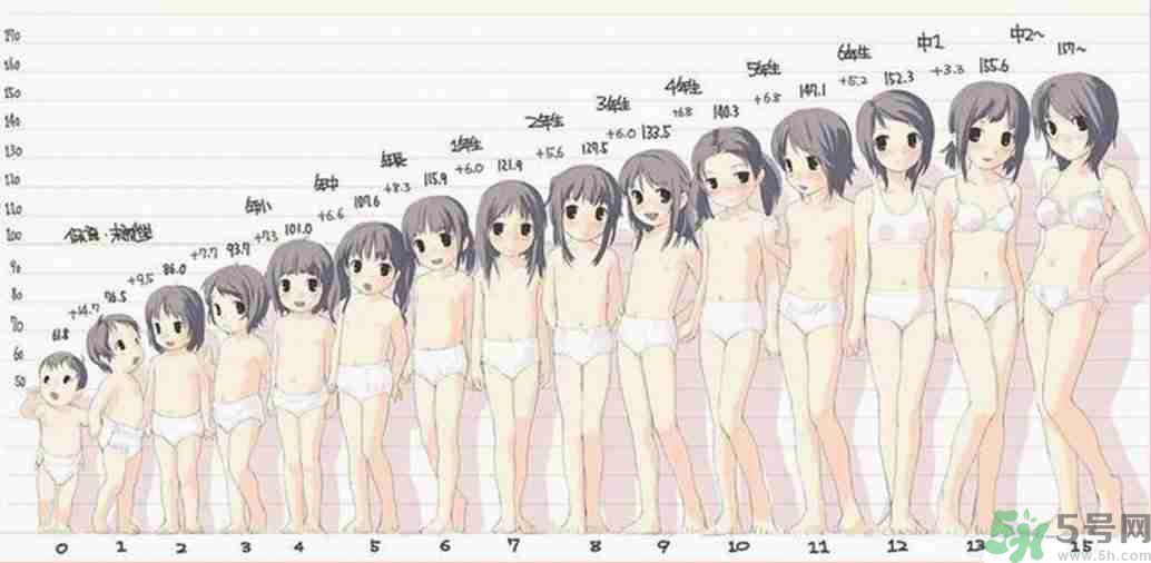 女生的发育过程是什么样的?