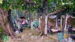 谍纸天眼和往生营有什么关系？