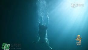 谍纸天眼和往生营有什么关系？